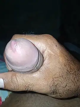 taylorWiiz online show from 11-26-25, 04:56