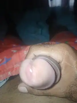 taylorWiiz online show from 12-01-25, 04:30