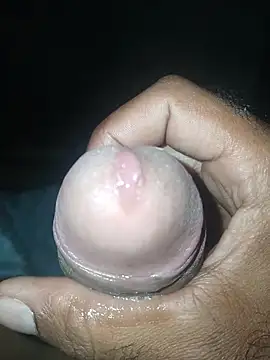 taylorWiiz online show from 11-19-25, 04:56