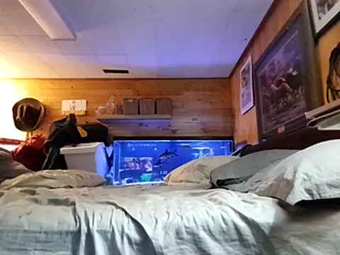 Ryan and Aurora online show from 03-09-26, 09:40