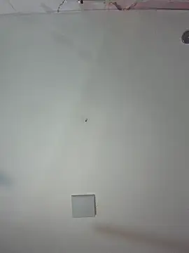 Snapshot of kiim_taaylor chatting on 02-25-26, 11:32 kiim taaylor online show from 02-25-26, 11:32