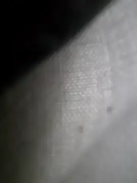 hungarian dick online show from 02-02-25, 11:18