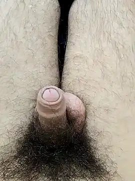 hungarian dick online show from 02-07-25, 09:05