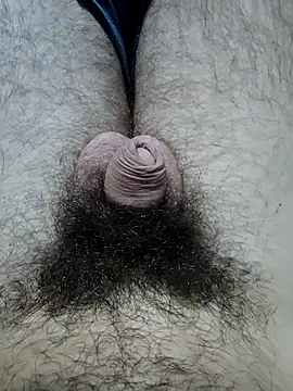 hungarian dick online show from 10-19-25, 10:51