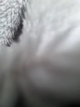 hungarian dick online show from 01-31-25, 09:37