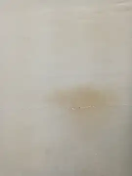 Snapshot of Rina777o chatting on 03-07-25, 06:11 Rina777o online show from 03-07-25, 06:11