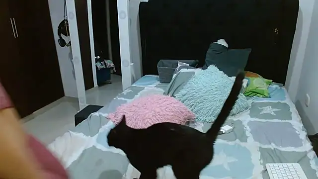 amazonafit  online show from 02-27-25, 04:13