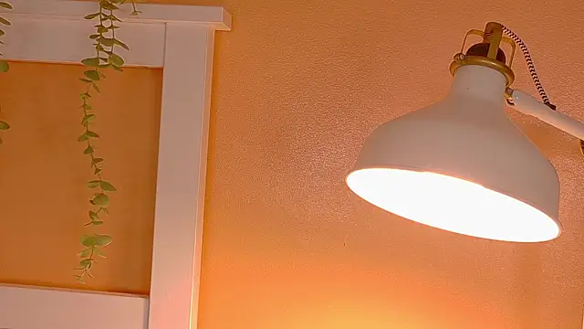 ParisFox  online show from 12-20-25, 01:08