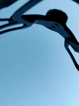 QcMisterv13 online show from 10-04-25, 09:05