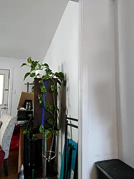 QcMisterv13 online show from 09-30-25, 02:23