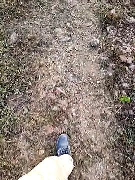 Ishan003 online show from 02-05-26, 01:34