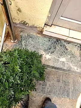 Ishan003 online show from 03-06-26, 03:12