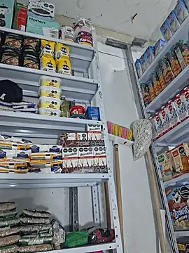 Katia sweetx online show from 04-08-26, 11:33