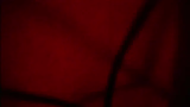 Nathaly love96 online show from 09-12-25, 06:07