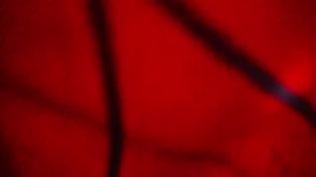 Nathaly love96 online show from 02-20-26, 07:38