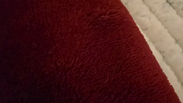 ChillzPnp online show from 02-05-26, 03:13