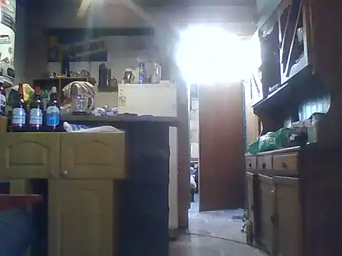 ar Lily online show from 12-08-24, 06:17