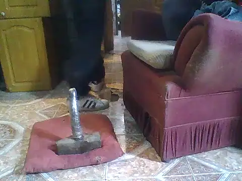 ar Lily online show from 12-08-24, 10:30