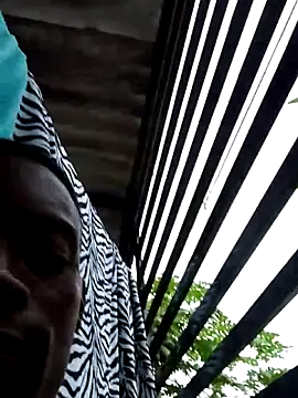 BeetledFlouter12 online show from 12-17-25, 09:42