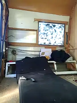 ed44435 online show from 11-10-25, 04:23