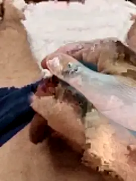 Sperma-V-rotik online show from 12-22-25, 06:19