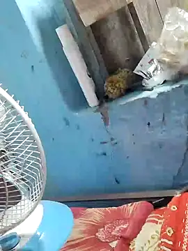 Snapshot of Natasha-In69 chatting on 02-06-25, 10:43 Natasha-In69 online show from 02-06-25, 10:43