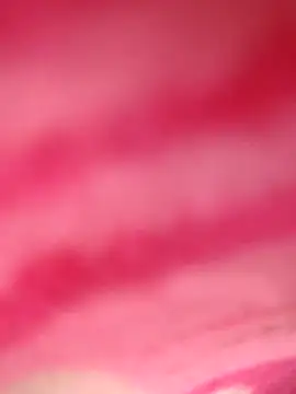 Snapshot of Natasha-In69 chatting on 01-04-25, 09:52 Natasha-In69 online show from 01-04-25, 09:52