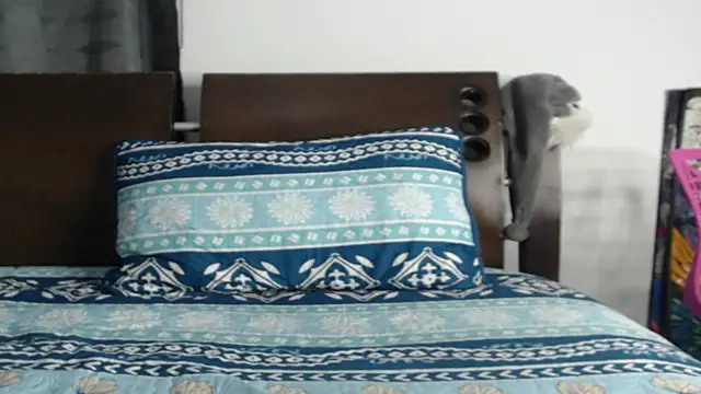 Tobicutee online show from 02-05-26, 04:19