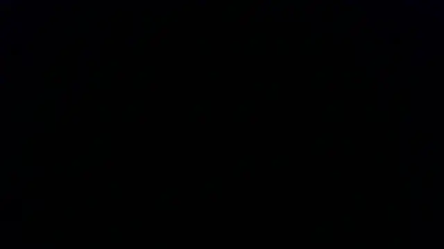 Kashtanka  online show from 11-22-25, 12:59