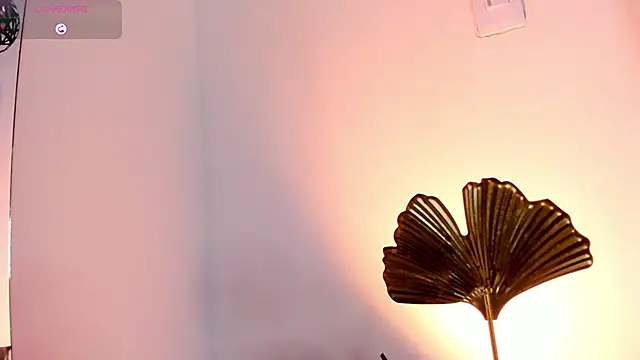 Mia ross16 online show from 02-07-25, 07:38