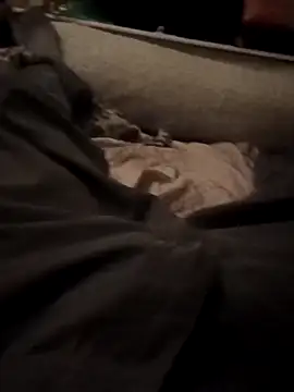 armdy371 online show from 11-15-25, 10:14