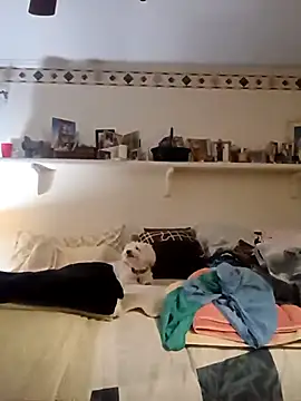 Hand69someguy online show from 10-04-25, 10:33