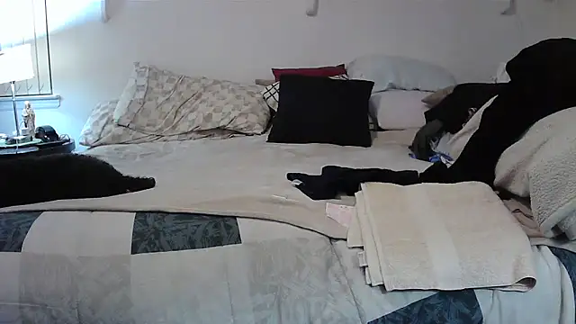 Hand69someguy online show from 11-02-25, 02:49