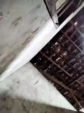 Leonelzain online show from 03-06-26, 04:40