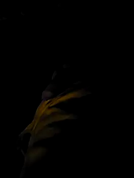 Feelixbi99 online show from 03-09-26, 08:12