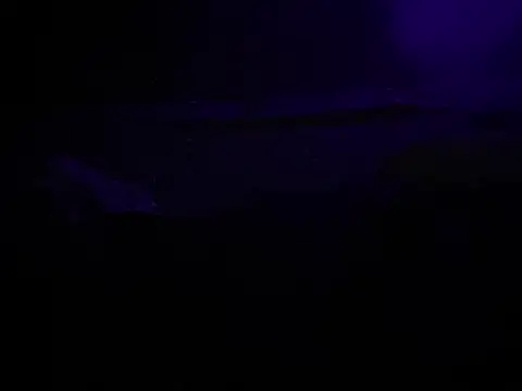 BigMac1596 online show from 10-25-25, 04:44