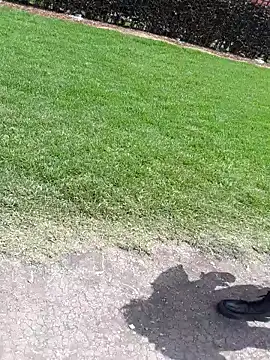 sophie banger online show from 11-04-25, 04:11