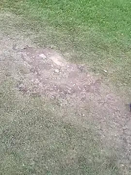 sophie banger online show from 11-05-25, 08:34