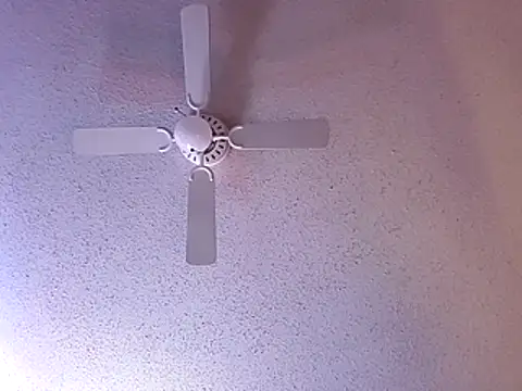 big8dall online show from 12-20-25, 06:27