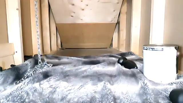 cbtbetaloser online show from 02-16-26, 05:17