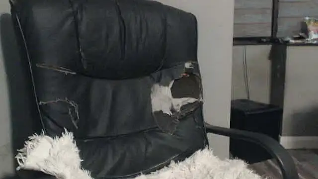 sexyfuckers online show from 10-28-25, 03:07