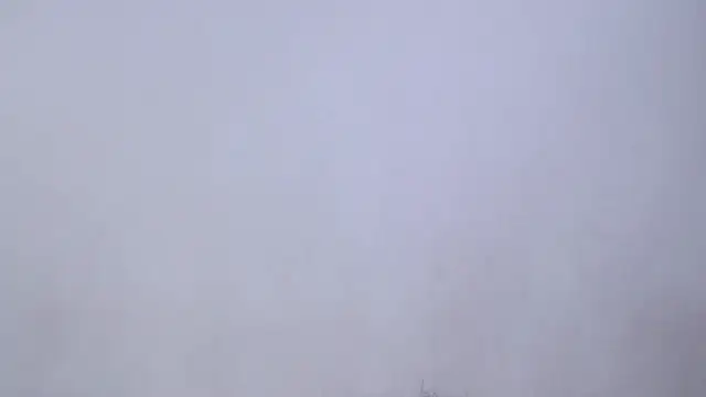 SusanLeroy online show from 04-10-26, 11:28