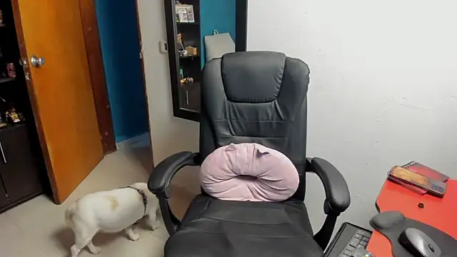 peanut tangerine online show from 01-09-26, 11:55