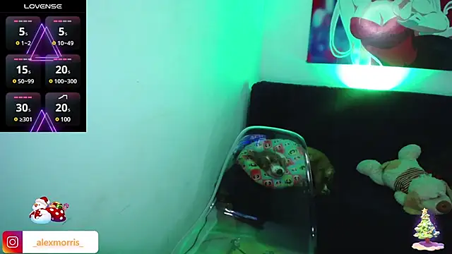 Snapshot of _AlexMorris chatting on 12-19-24, 09:18  AlexMorris online show from 12-19-24, 09:18