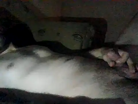 Snapshot of Vicktore007 chatting on 09-13-25, 09:37 Vicktore007 online show from 09-13-25, 09:37