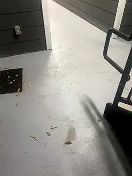 zeekBbc online show from 11-16-25, 10:53