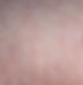 Snapshot of vanscr1 chatting on 11-24-25, 08:20 vanscr1 online show from 11-24-25, 08:20