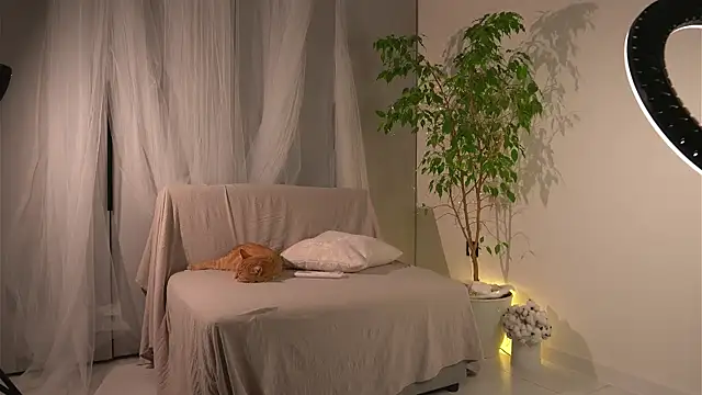 lorrie love story online show from 11-24-25, 11:21