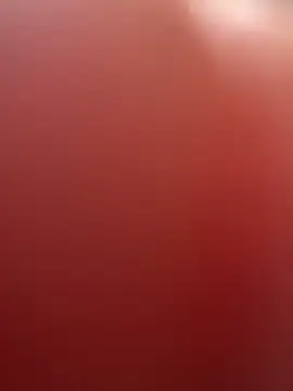 portugadopau online show from 09-10-25, 04:06