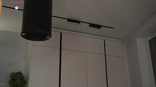 hecola online show from 11-11-25, 02:23